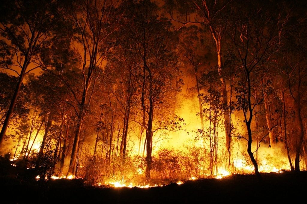 Bushfire Testing impact
